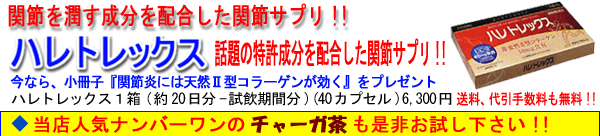 �G��֐߂̒ɂ݂ɓ�������������!!